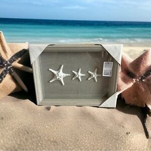 New Coastal Shadow Box Starfish Shell Wall Art Beach Wall Hanging Nautical Decor